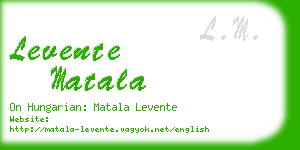 levente matala business card